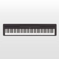 Yamaha P45B